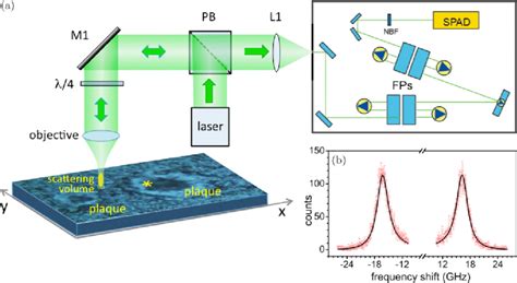 stimulated brillouin scattering|brillouin scattering microscopy.